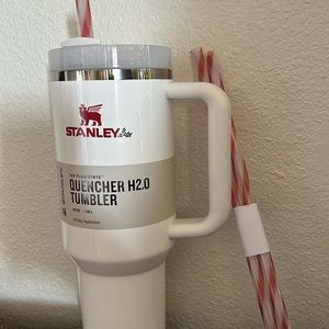 Stanley 40 ounce mistletoe swirl, just taken out of the box for this picture